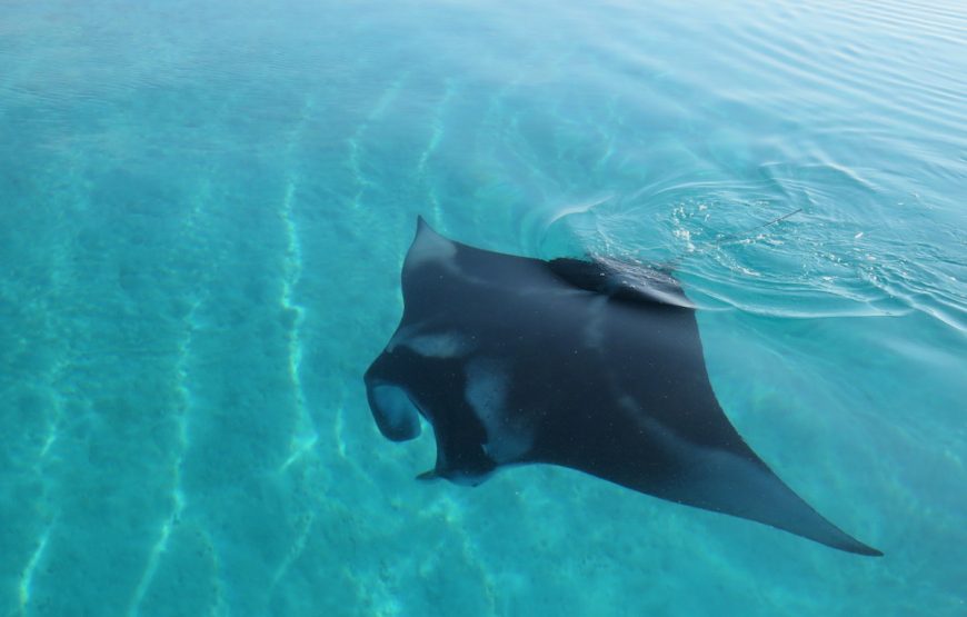 Ukulhas Island