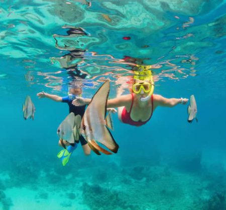 Snorkeling & Diving