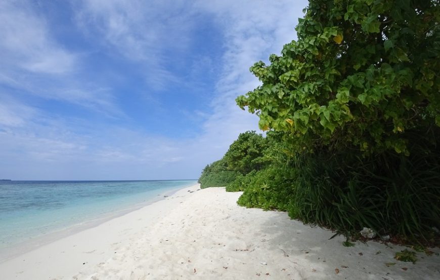 Omadhoo Island