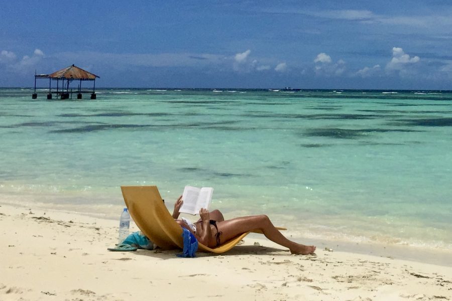 Whale Shark / Manta Ray Safaris