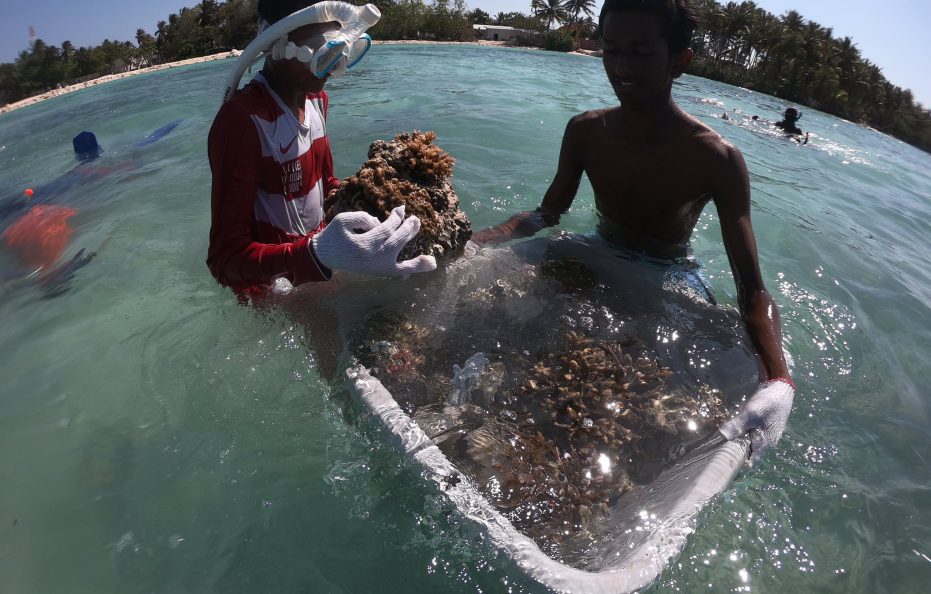 Fulhadhoo Local Island