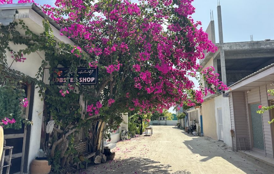 Eco & Surf Escape: Family Getaway to Himmafushi