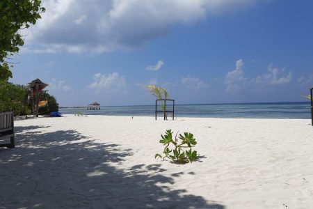 Sandbank & Picnic Boat Sandbank & Picnic Boat Tours