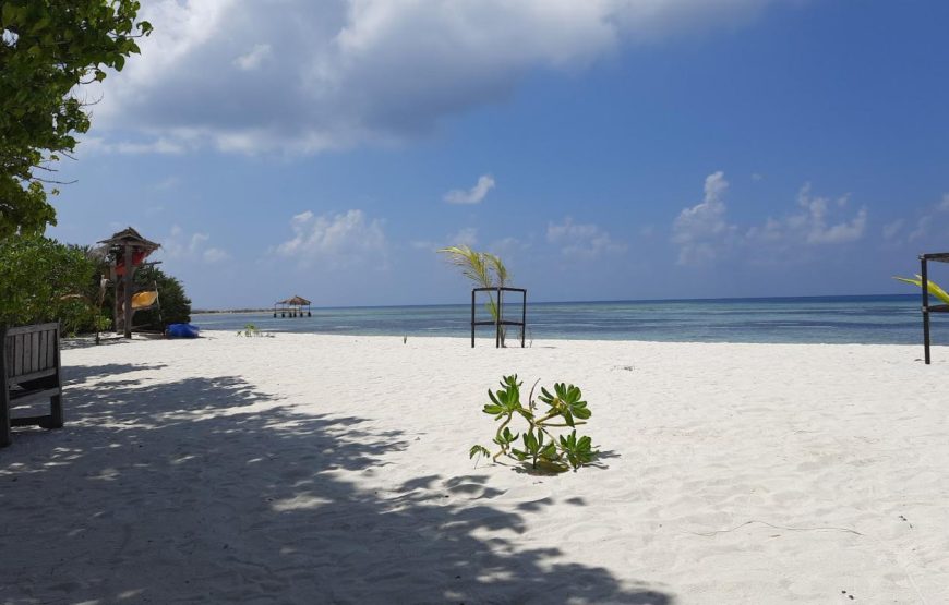 Eco & Surf Escape: Family Getaway to Himmafushi