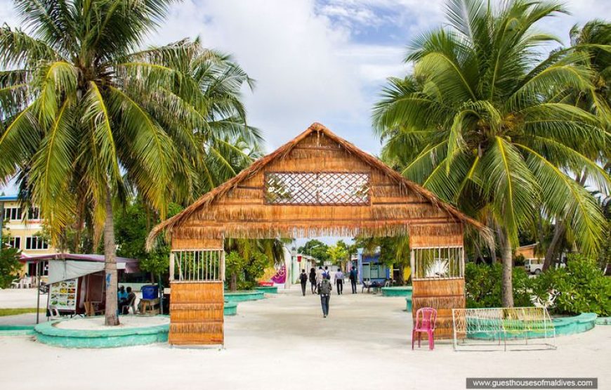 Eco & Surf Escape: Family Getaway to Himmafushi