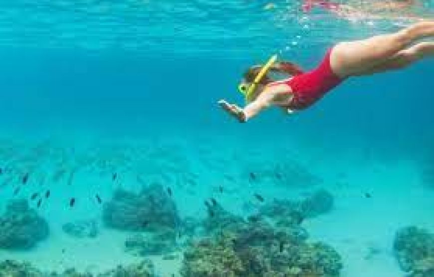 Eco & Surf Escape: Family Getaway to Himmafushi