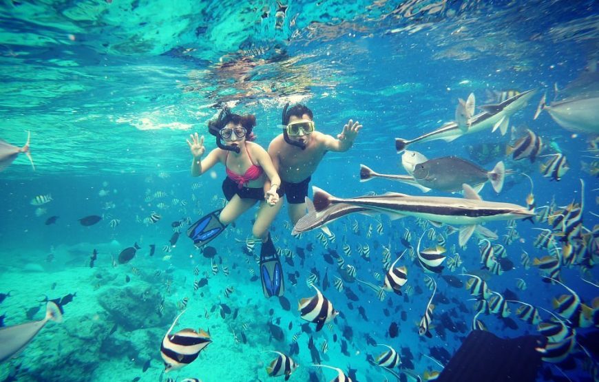 Eco & Surf Escape: Family Getaway to Himmafushi