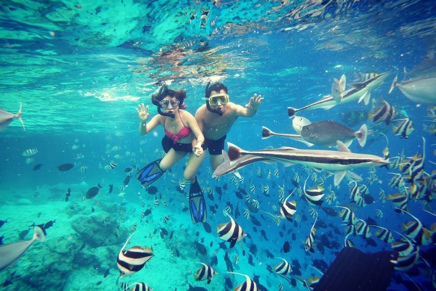 Snorkeling Tours