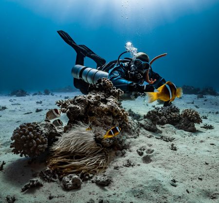 Scuba Diving Excursions
